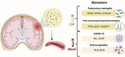 Editorial: CSF and blood biomarkers in COVID-19 and other neuroinfectious diseases